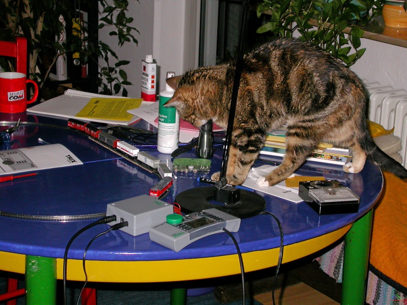 001 Erste Digitalfahrt auf der Teststrecke.JPG - Frühjahr 2006 - erste Digitalfahrt auf dem Testkreis